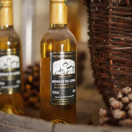 Domaine Viticole Historique